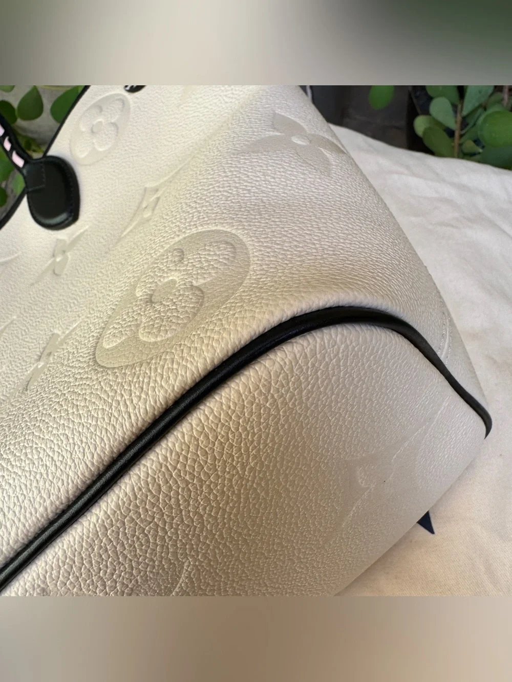 Louis Vuitton Wild at Heart Neverfull MM
